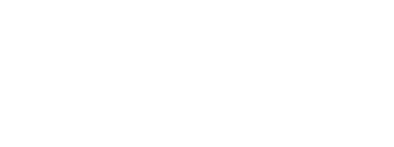 partastar site logo white